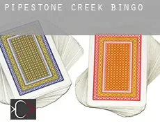Pipestone Creek  Bingo