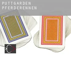 Puttgarden  Pferderennen