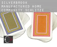Silverbrook Manufactured Home Community Schlitze