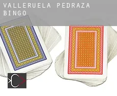 Valleruela de Pedraza Bingo