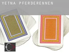 Yetna  Pferderennen