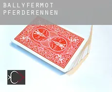 Ballyfermot  Pferderennen