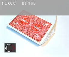 Flagg  Bingo