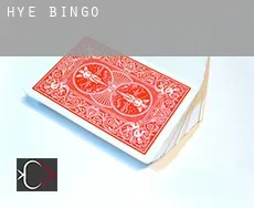 Hye  Bingo