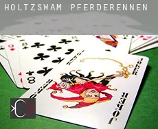 Holtzswam  Pferderennen