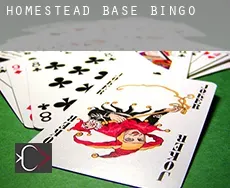 Homestead Base  Bingo