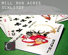 Mill Run Acres  Schlitze