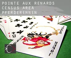 Pointe-aux-Renards (census area)  Pferderennen