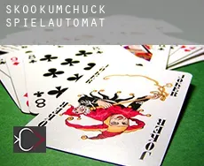 Skookumchuck  Spielautomat