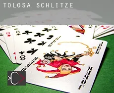 Tolosa  Schlitze
