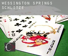 Wessington Springs  Schlitze