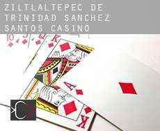 Ziltlaltepec de Trinidad Sanchez Santos  Casino