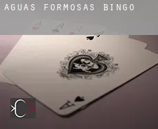 Águas Formosas  Bingo