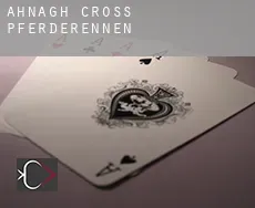 Ahnagh Cross  Pferderennen