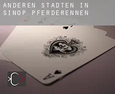 Anderen Städten in Sinop  Pferderennen