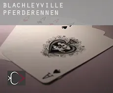 Blachleyville  Pferderennen