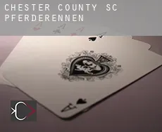 Chester County  Pferderennen