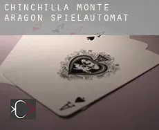 Chinchilla de Monte Aragón  Spielautomat