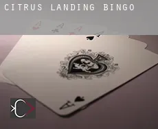 Citrus Landing Bingo