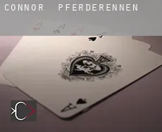 Connor  Pferderennen