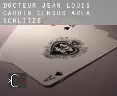 Docteur-Jean-Louis-Cardin (census area)  Schlitze