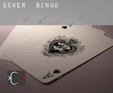 Esker Bingo