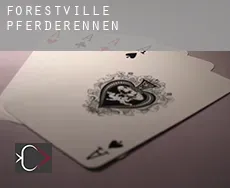 Forestville  Pferderennen
