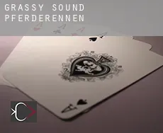 Grassy Sound  Pferderennen