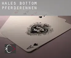 Hales Bottom Pferderennen