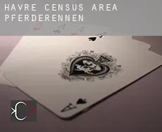 Havre (census area)  Pferderennen