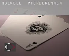 Holwell  Pferderennen
