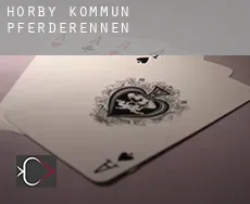 Hörby Kommun  Pferderennen