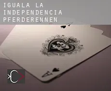 Iguala de la Independencia  Pferderennen