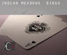 Indian Meadows  Bingo