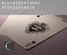 Kleinebersdorf Pferderennen