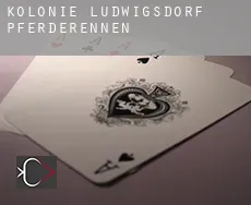 Kolonie Ludwigsdorf  Pferderennen