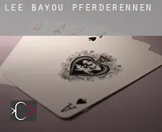 Lee Bayou Pferderennen