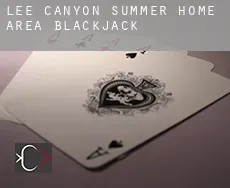 Lee Canyon Summer Home Area  Blackjack