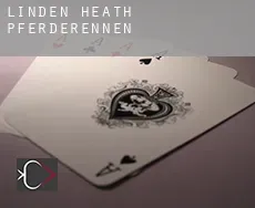 Linden Heath  Pferderennen