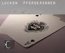Luckow Pferderennen
