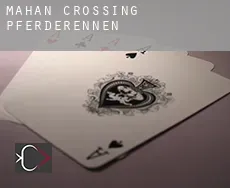 Mahan Crossing  Pferderennen