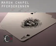 Marsh Chapel  Pferderennen