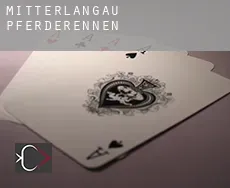 Mitterlangau  Pferderennen
