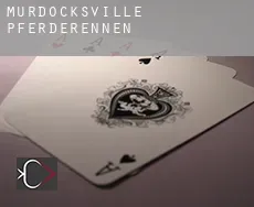 Murdocksville Pferderennen