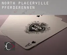 North Placerville  Pferderennen