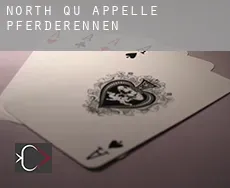 North Qu'Appelle  Pferderennen