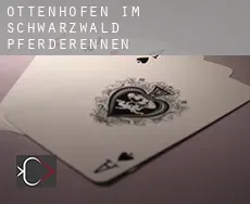 Ottenhöfen im Schwarzwald  Pferderennen