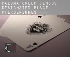 Paloma Creek  Pferderennen