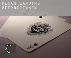 Pecan Landing Pferderennen