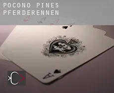 Pocono Pines  Pferderennen